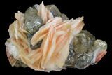 Large, Cerussite Crystals with Barite on Galena - Morocco #98720-1